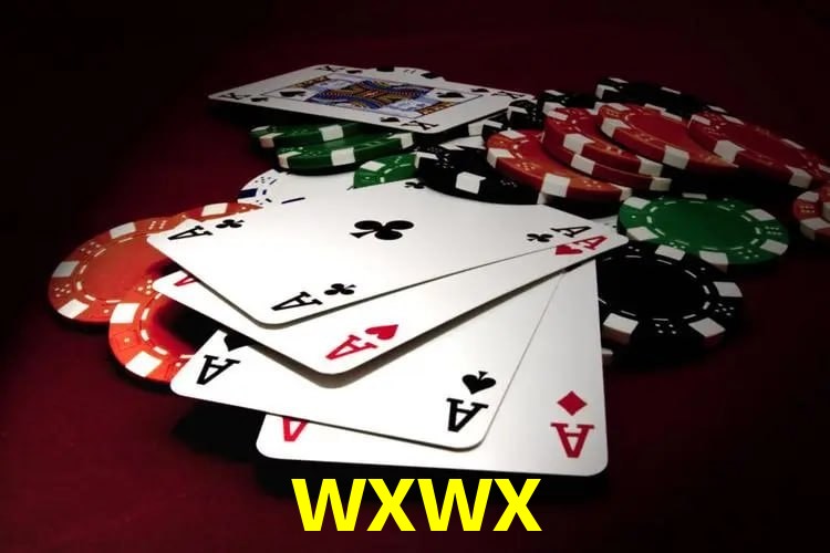 Interface Premium wxwx