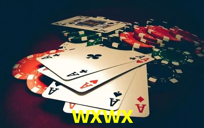 wxwx visual 2